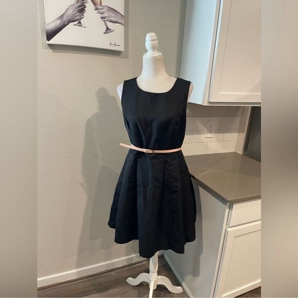 NWT Jason Wu Target 20th Anniversary Belted sleeveless Dress C33 - Picture 4 of 11